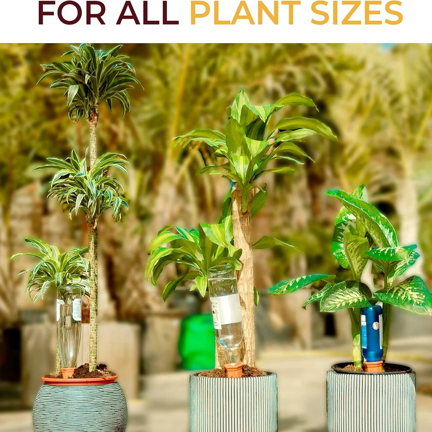 6-Pack Natural Self Watering Spikes - Terracotta - Automatic Plant Waterer for Indoor & Outdoor