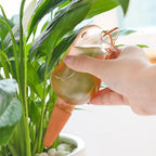 Bird Shape Watering Spike Self Watering Spike Indoor Plants Automatic Drip Irrigation for Potted Plants Flower Houseplant 1pcs
