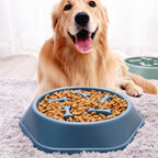 NOVADO Slow Food Napf – Anti-Schling-Napf für kleine Hunde