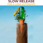 6-Pack Natural Self Watering Spikes - Terracotta - Automatic Plant Waterer for Indoor & Outdoor
