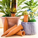 6-Pack Natural Self Watering Spikes - Terracotta - Automatic Plant Waterer for Indoor & Outdoor